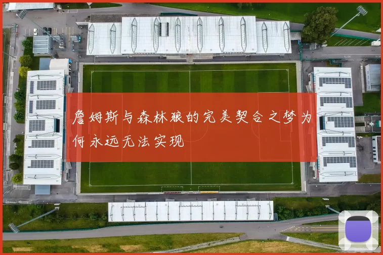 詹姆斯与森林狼的完美契合之梦为何永远无法实现